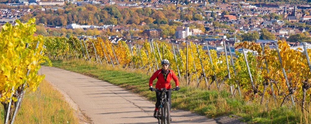 Master Sport in Baden-Württemberg?