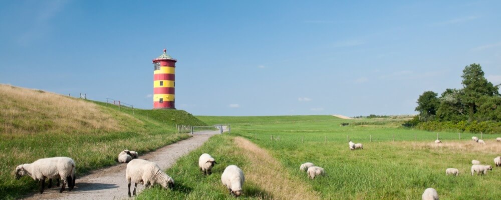 Fernstudium Geistes- und Sozialwissenschaften in Niedersachsen